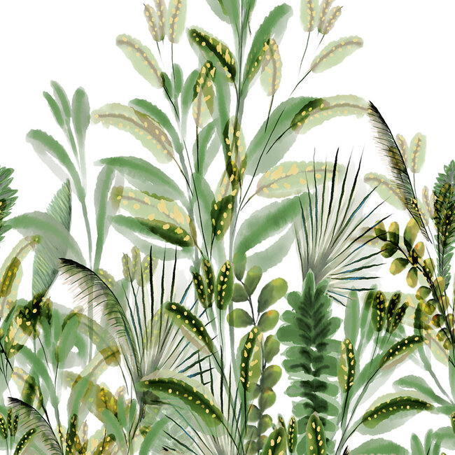 Dutch Wallcoverings Dutch Wallcoverings - Mural Vegetal Sobre 159x280cm - Vliesbehang - 280cm x 159cm - A59502
