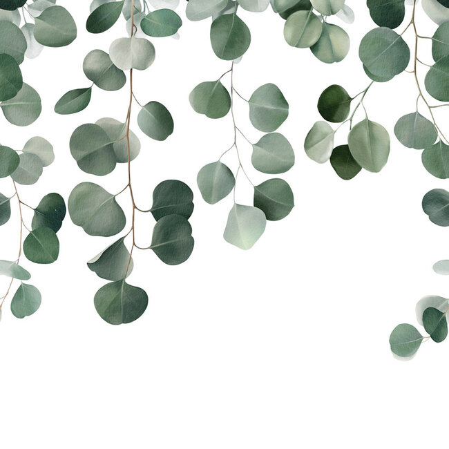 Dutch Wallcoverings Dutch Wallcoverings - Mural Icarus 159x280cm - Vliesbehang - 280cm x 159cm - A73201