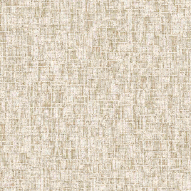 Dutch Wallcoverings Dutch Wallcoverings - Santa Fé Engraved Beige - Vliesbehang - 10m x 53cm - SA524022
