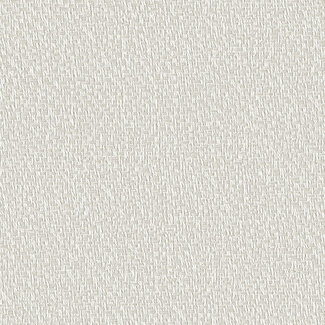 Dutch Wallcoverings Dutch Wallcoverings - Santa Fé Natures Weave Off White - SA524051