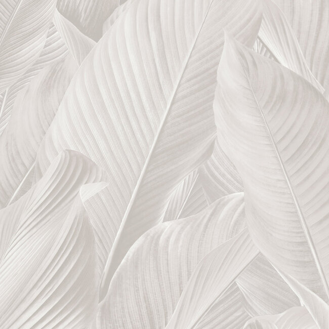 Dutch Wallcoverings Dutch Wallcoverings - Tahiti - Banya gebroken wit - Vliesbehang - 10m x 53cm - 13301