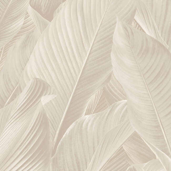 Dutch Wallcoverings Dutch Wallcoverings - Tahiti - Banya lichtbeige - Vliesbehang - 10m x 53cm - 13302