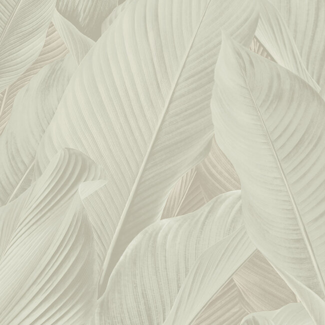 Dutch Wallcoverings Dutch Wallcoverings - Tahiti - Banya creme - Vliesbehang - 10m x 53cm - 13305