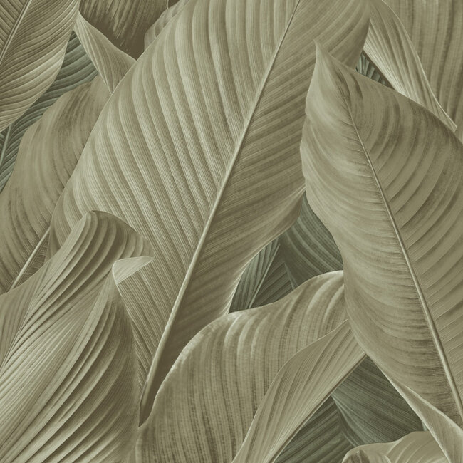 Dutch Wallcoverings Dutch Wallcoverings - Tahiti - Banya groen/beige - Vliesbehang - 10m x 53cm - 13306