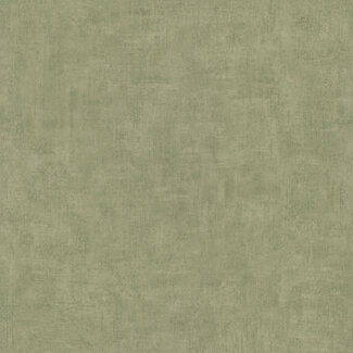 Dutch Wallcoverings Dutch Wallcoverings - Asperia- Annabel uni groen - A51515