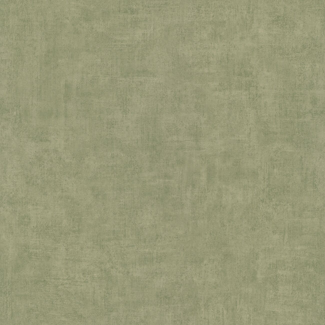 Dutch Wallcoverings Dutch Wallcoverings - Asperia- Annabel uni groen - Vliesbehang - 10m x 53cm - A51515