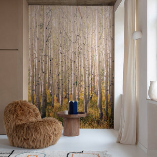 Dutch Wallcoverings Dutch Wallcoverings - Mural Birch Tree 159x280cm - A42601