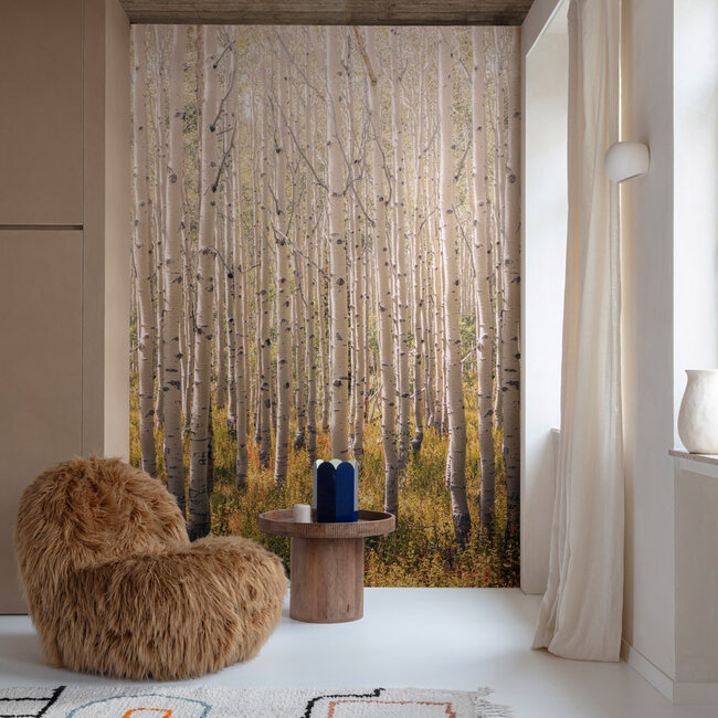 Dutch Wallcoverings Dutch Wallcoverings - Mural Birch Tree 159x280cm - Vliesbehang - 280cm x 159cm - A42601