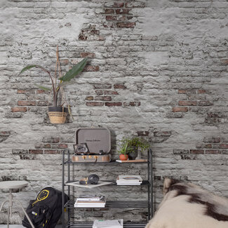 Dutch Wallcoverings Dutch Wallcoverings - Mural Brick 159x280cm - EP6102