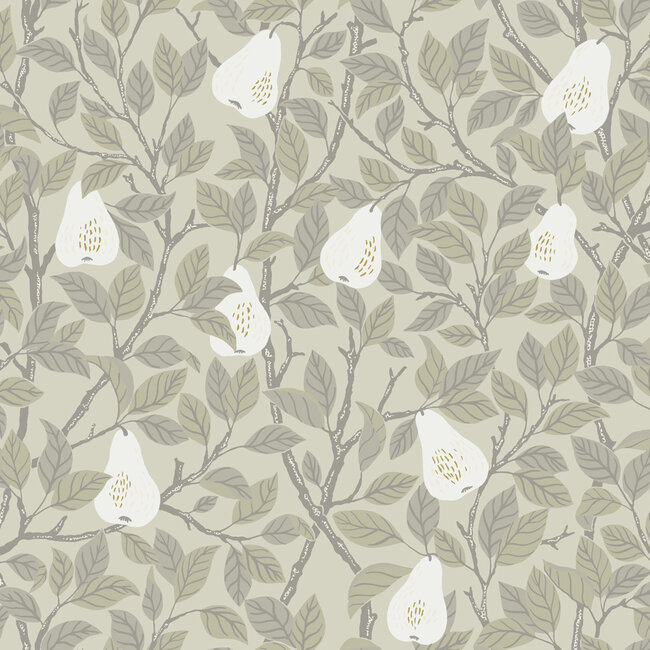 Dutch Wallcoverings Dutch Wallcoverings - FC Angas- Pirum Beige - Vliesbehang - 10m x 53cm - 13101
