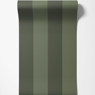 Dutch Wallcoverings Dutch Wallcoverings - FC Angas- Fredrik Green - 13123