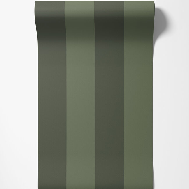 Dutch Wallcoverings Dutch Wallcoverings - FC Angas- Fredrik Green - Vliesbehang - 10m x 53cm - 13123