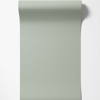 Dutch Wallcoverings Dutch Wallcoverings - FC Ekbacka- Rita Light green - 14012