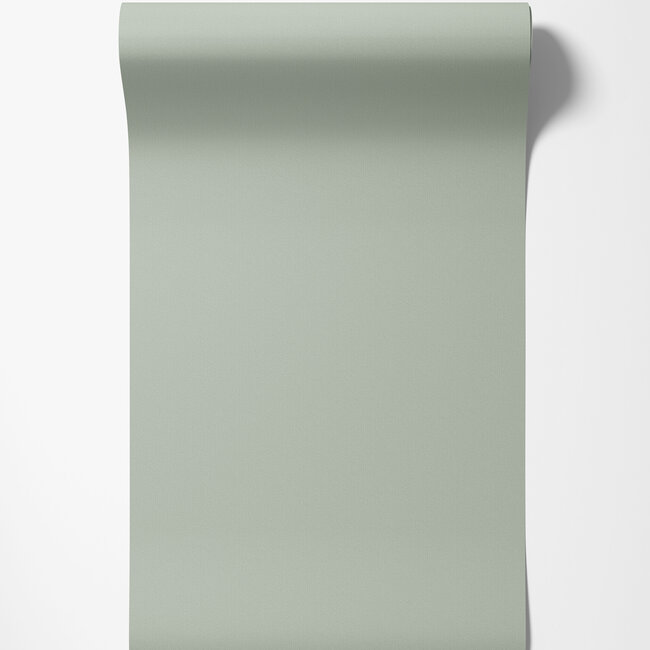 Dutch Wallcoverings Dutch Wallcoverings - FC Ekbacka- Rita Light green - Vliesbehang - 10m x 53cm - 14012