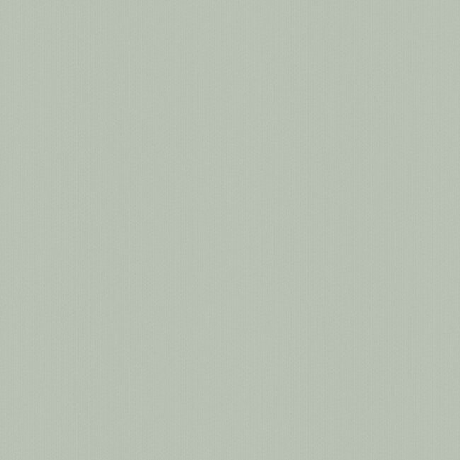 Dutch Wallcoverings Dutch Wallcoverings - FC Ekbacka- Rita Light green - Vliesbehang - 10m x 53cm - 14012
