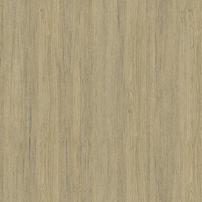 Dutch Wallcoverings Dutch Wallcoverings - FC Elements- Trä Nature - Vliesbehang - 10m x 53cm - 11905