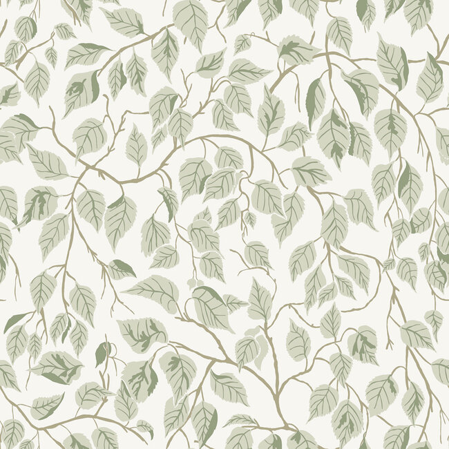 Dutch Wallcoverings Dutch Wallcoverings - Ester - Hangbjork Light green - Vliesbehang - 10m x 53cm - 20107