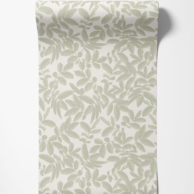 Dutch Wallcoverings Dutch Wallcoverings - Ester - Lovskog Light green - Vliesbehang - 10m x 53cm - 20123