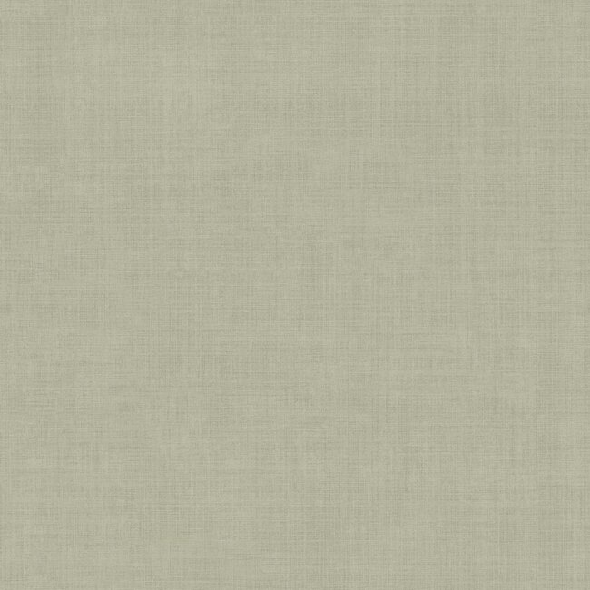 Dutch Wallcoverings Dutch Wallcoverings - Ester - Pinje Light green - Vliesbehang - 10m x 53cm - 16022