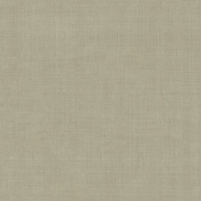 Dutch Wallcoverings Dutch Wallcoverings - Ester - Näver Dark beige - Vliesbehang - 10m x 53cm - 16045