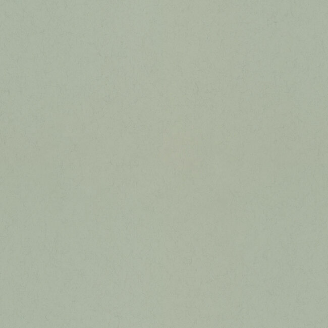 Dutch Wallcoverings Dutch Wallcoverings - FC Kulör- uni Spring - Vliesbehang - 10m x 53cm - 77004