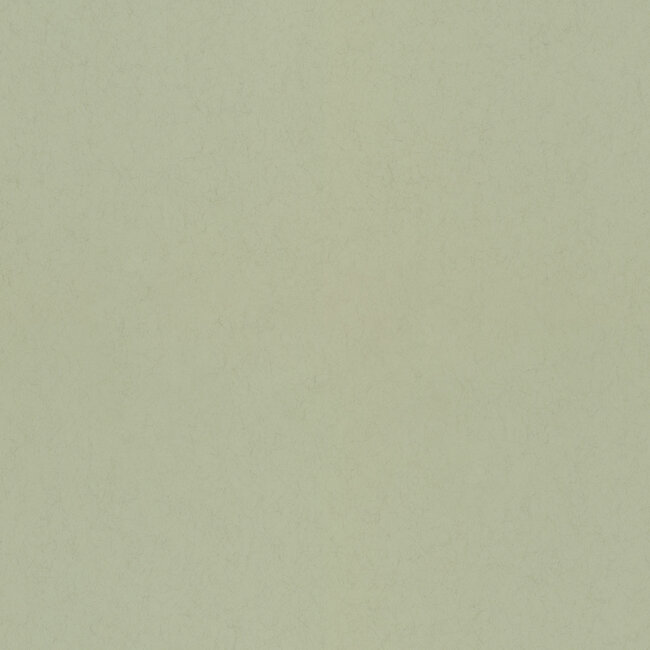 Dutch Wallcoverings Dutch Wallcoverings - FC Kulör- uni Pistachio - Vliesbehang - 10m x 53cm - 77005