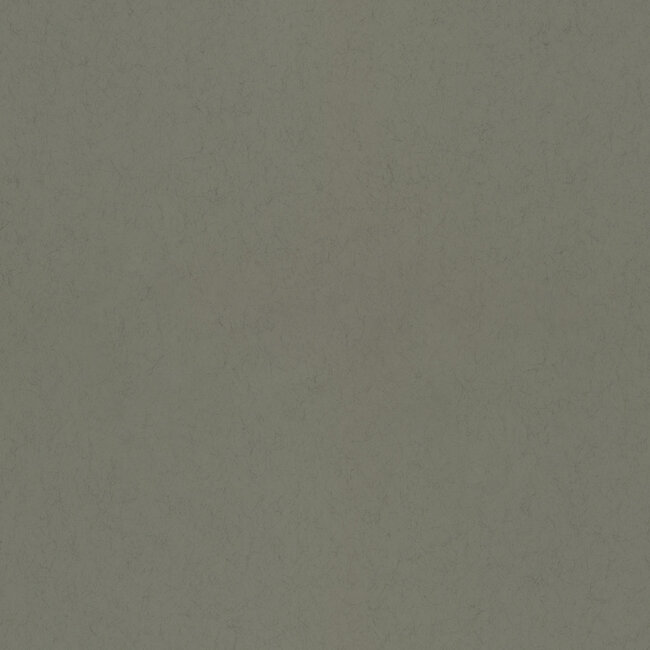 Dutch Wallcoverings Dutch Wallcoverings - FC Kulör- uni Needle - Vliesbehang - 10m x 53cm - 77008