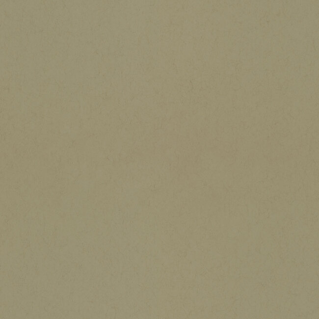 Dutch Wallcoverings Dutch Wallcoverings - FC Kulör- uni Olive - Vliesbehang - 10m x 53cm - 77009