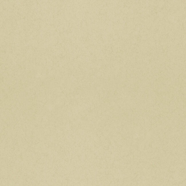 Dutch Wallcoverings Dutch Wallcoverings - FC Kulör- uni Fennel - Vliesbehang - 10m x 53cm - 77010