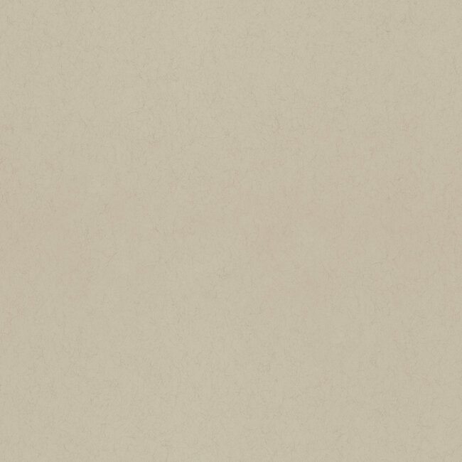 Dutch Wallcoverings Dutch Wallcoverings - FC Kulör- uni Anise - Vliesbehang - 10m x 53cm - 77015