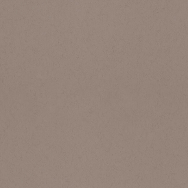 Dutch Wallcoverings Dutch Wallcoverings - FC Kulör- uni Cinnamon - Vliesbehang - 10m x 53cm - 77017