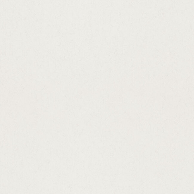 Dutch Wallcoverings Dutch Wallcoverings - FC Kulör- uni Eggshell - Vliesbehang - 10m x 53cm - 77019