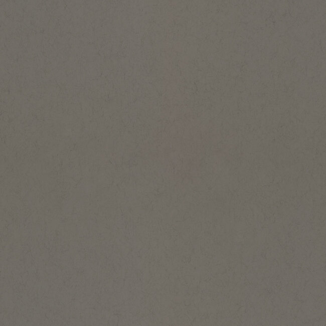 Dutch Wallcoverings Dutch Wallcoverings - FC Kulör- uni Coffee - Vliesbehang - 10m x 53cm - 77024