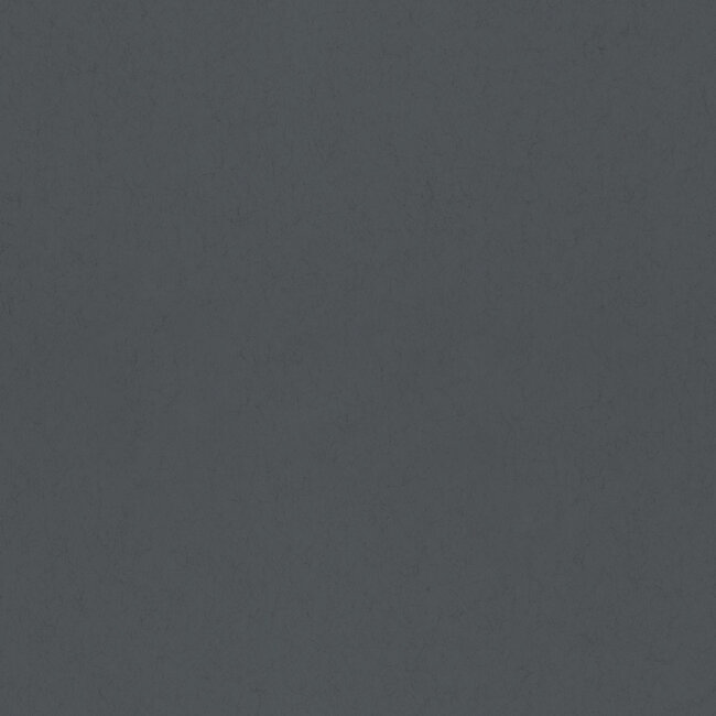 Dutch Wallcoverings Dutch Wallcoverings - FC Kulör- uni Blackbird - Vliesbehang - 10m x 53cm - 77025