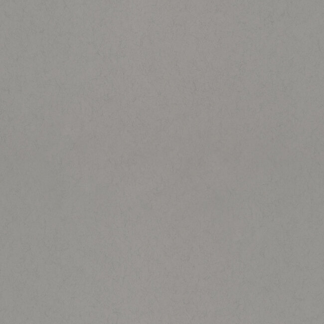 Dutch Wallcoverings Dutch Wallcoverings - FC Kulör- uni Industry - Vliesbehang - 10m x 53cm - 77027