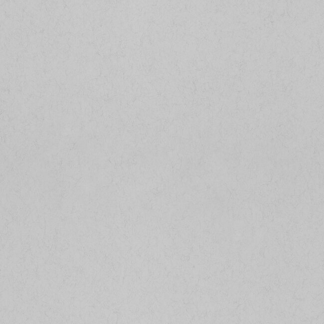 Dutch Wallcoverings Dutch Wallcoverings - FC Kulör- uni Morning Haze - Vliesbehang - 10m x 53cm - 77029