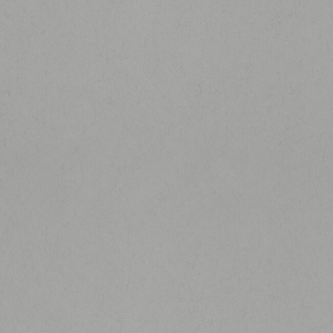 Dutch Wallcoverings Dutch Wallcoverings - FC Kulör- uni Frost - Vliesbehang - 10m x 53cm - 77032