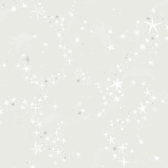 Dutch Wallcoverings Dutch Wallcoverings - FC Resan- Stjärnhimlen Gray - Vliesbehang - 10m x 53cm - 29019