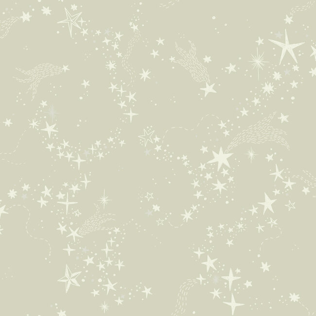 Dutch Wallcoverings Dutch Wallcoverings - FC Resan- Stjärnhimlen Light green - Vliesbehang - 10m x 53cm - 29021