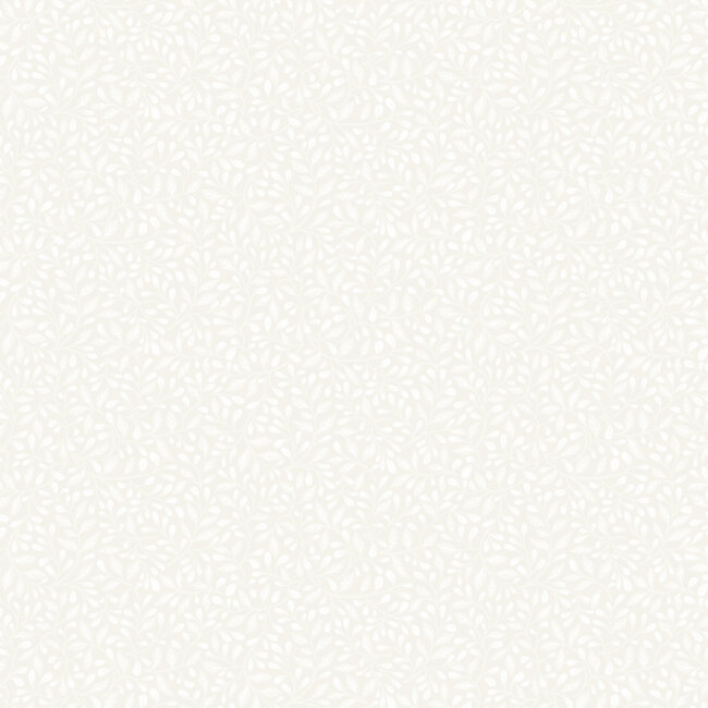 Dutch Wallcoverings Dutch Wallcoverings - FC Langenas- Adam White - Vliesbehang - 10m x 53cm - 12321