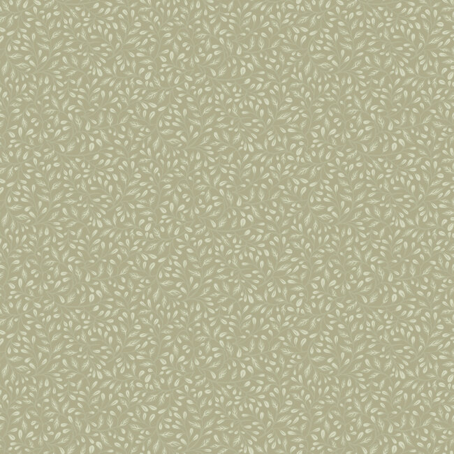 Dutch Wallcoverings Dutch Wallcoverings - FC Langenas- Adam Olive green - Vliesbehang - 10m x 53cm - 12325