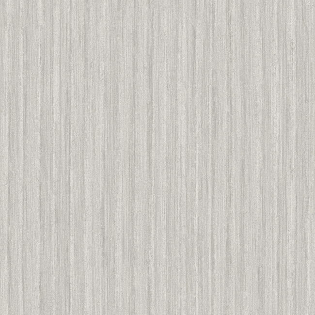Dutch Wallcoverings Dutch Wallcoverings - FC Midolin- Björk Light grey - Vliesbehang - 10m x 53cm - 17210