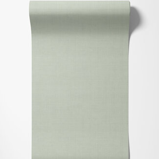 Dutch Wallcoverings Dutch Wallcoverings - FC Midolin- Varvinter Light green - 16024