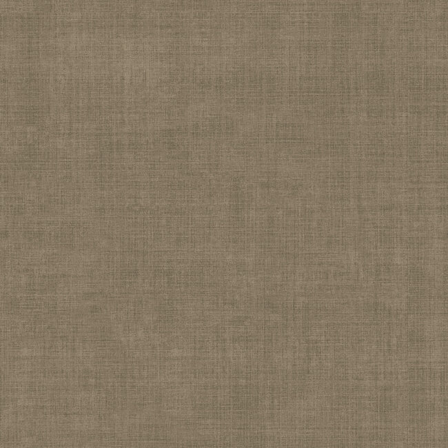 Dutch Wallcoverings Dutch Wallcoverings - FC Midolin- Mullvad Brown - Vliesbehang - 10m x 53cm - 16046