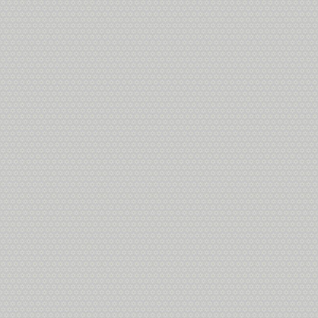 Dutch Wallcoverings Dutch Wallcoverings - FC Morgongava- Stella Grey - Vliesbehang - 10m x 53cm - 27027