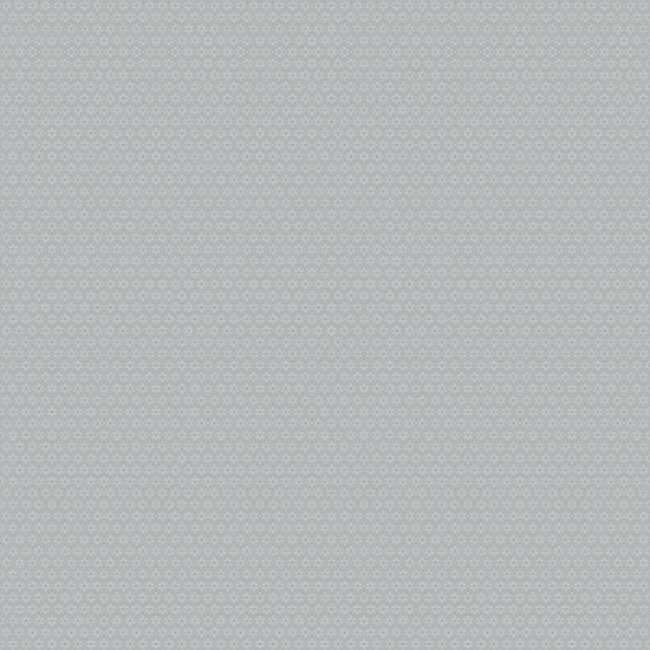 Dutch Wallcoverings Dutch Wallcoverings - FC Morgongava- Stella Blue - Vliesbehang - 10m x 53cm - 27029
