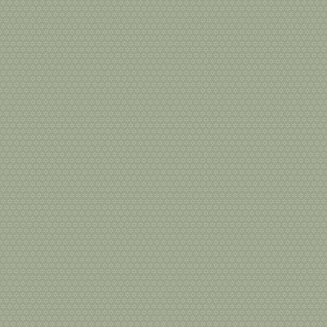 Dutch Wallcoverings Dutch Wallcoverings - FC Morgongava- Stella Green - Vliesbehang - 10m x 53cm - 27030