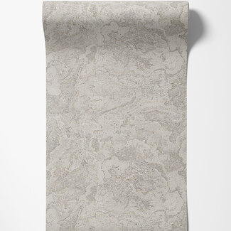 Dutch Wallcoverings Vliesbehang - Exclusive Threads Marble Cloud Taup - TP422985