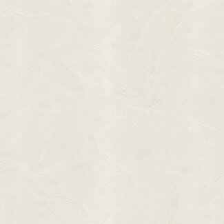 Dutch Wallcoverings Dutch Wallcoverings - FC Blumarine 5 10mx106cm - 29007