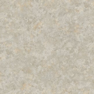 Dutch Wallcoverings Dutch Wallcoverings - FC Blumarine 5 10mx106cm - 29038